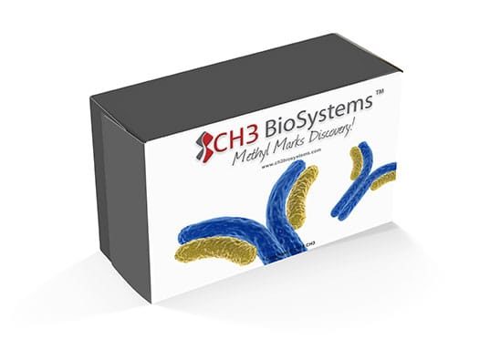 CH3-Antibodies