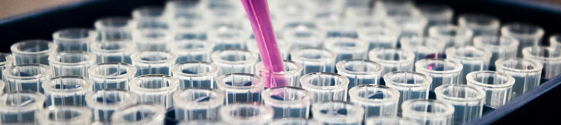 CDMO biomanufacturing